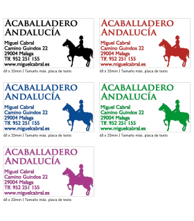 Sello/Cuño Rectangular ref. 4928, Tamaño 60x33mm