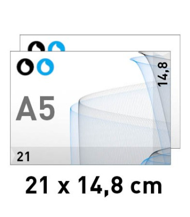 Flyers a 2 colores A5 2 CARAS