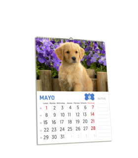 Calendarios de 13 láminas A5 con colgador