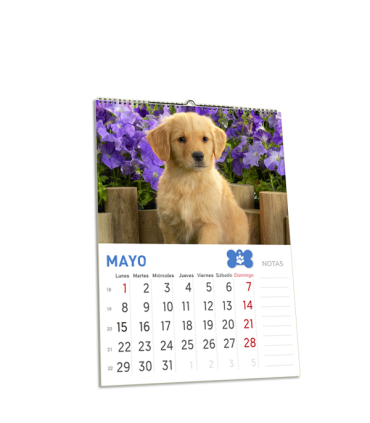 Calendarios de 13 láminas A5 con colgador