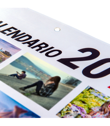 Calendarios de pared 1 Lámina anual
