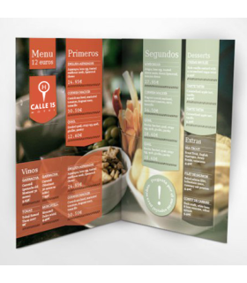 Dípticos Informativos Triangulares DINA6