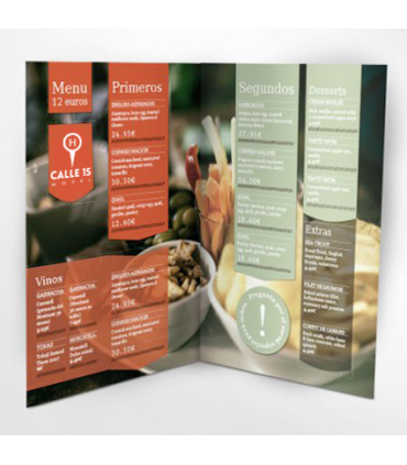 Dípticos Informativos Triangulares DINA6