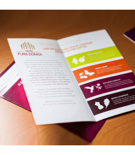 Dípticos Informativos Triangulares DINA6