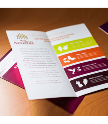 Dípticos Informativos Triangulares DINA6